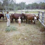 Vacen Taylor - with my grandfather and the cows
